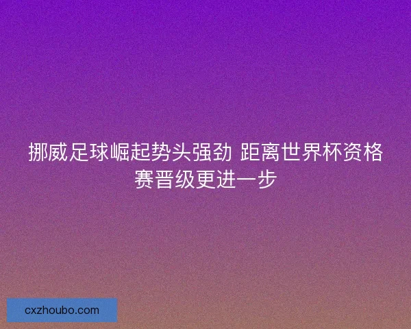 挪威足球崛起势头强劲 距离世界杯资格赛晋级更进一步