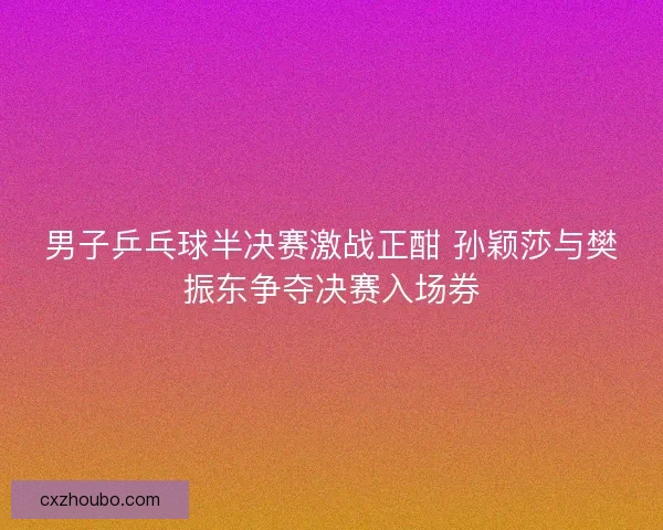 男子乒乓球半决赛激战正酣 孙颖莎与樊振东争夺决赛入场券
