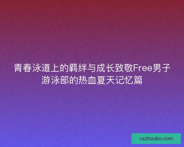 青春泳道上的羁绊与成长致敬Free男子游泳部的热血夏天记忆篇