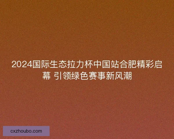 2024国际生态拉力杯中国站合肥精彩启幕 引领绿色赛事新风潮